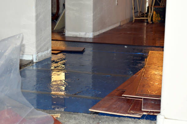 Professional Storm Water Damage Restoration technician working in Logan, OH